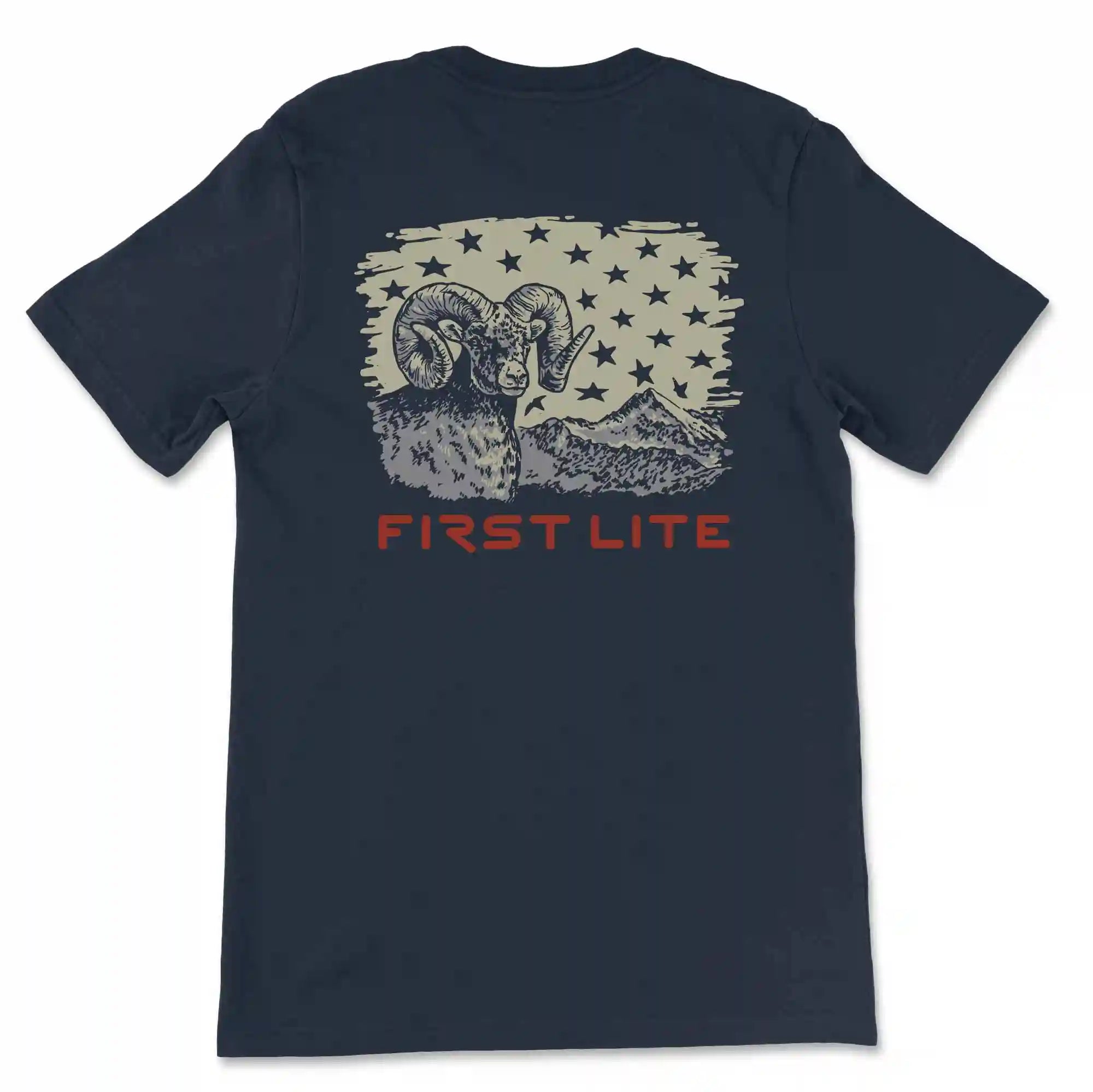 firstliteonlineshop.com
